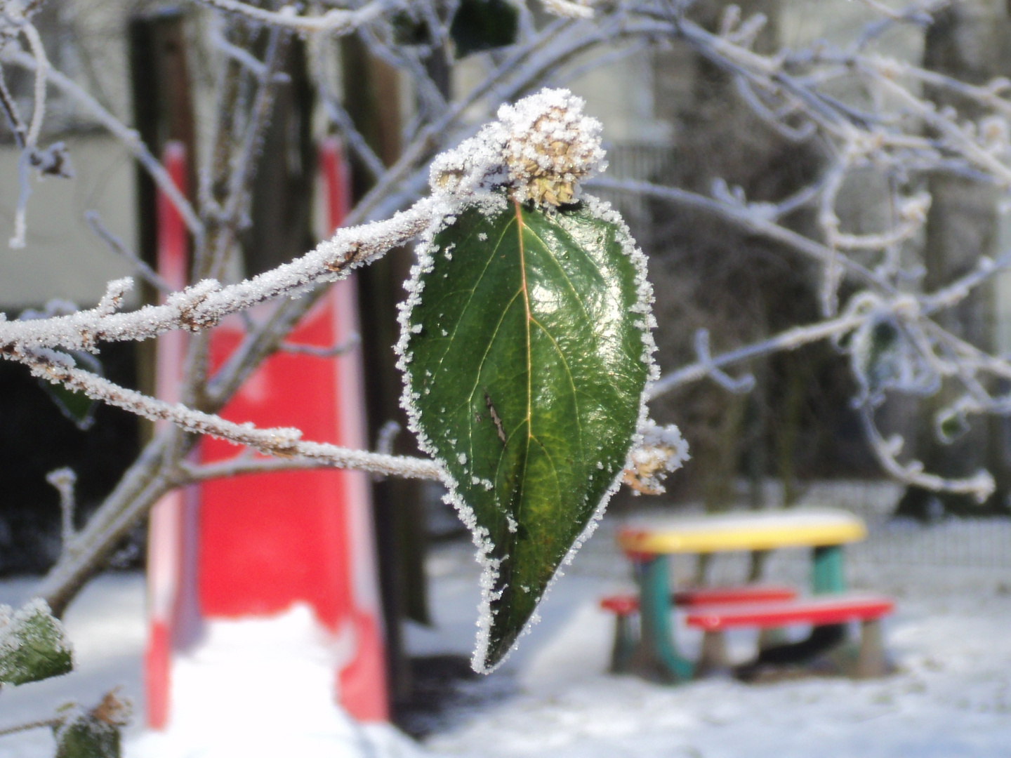 Wintergrüsse 2016 Aus Bremen