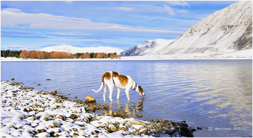 Wintergruesse aus dem Sueden