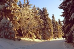 Wintergrüße aus dem Thüringer Wald