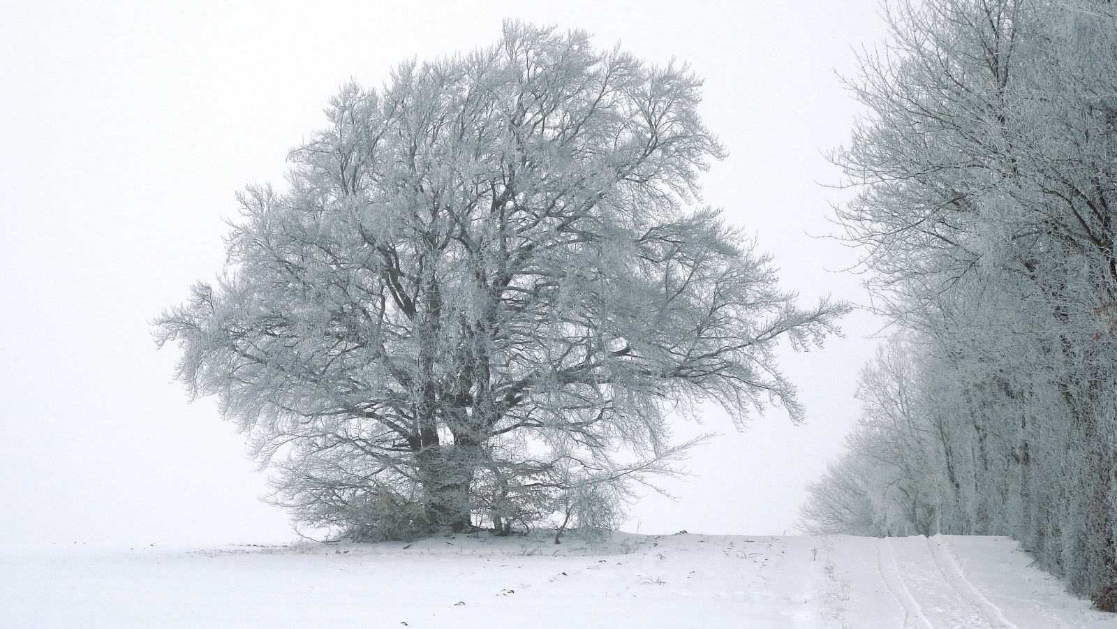 Wintergrüße aus Esch/Eifel