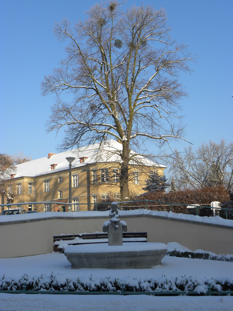 Wintergrüße vom Brunnen in Potsdam