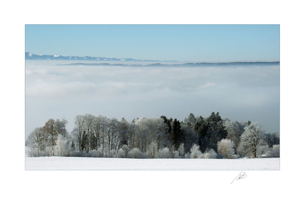 "WINTERGRUSS" 2