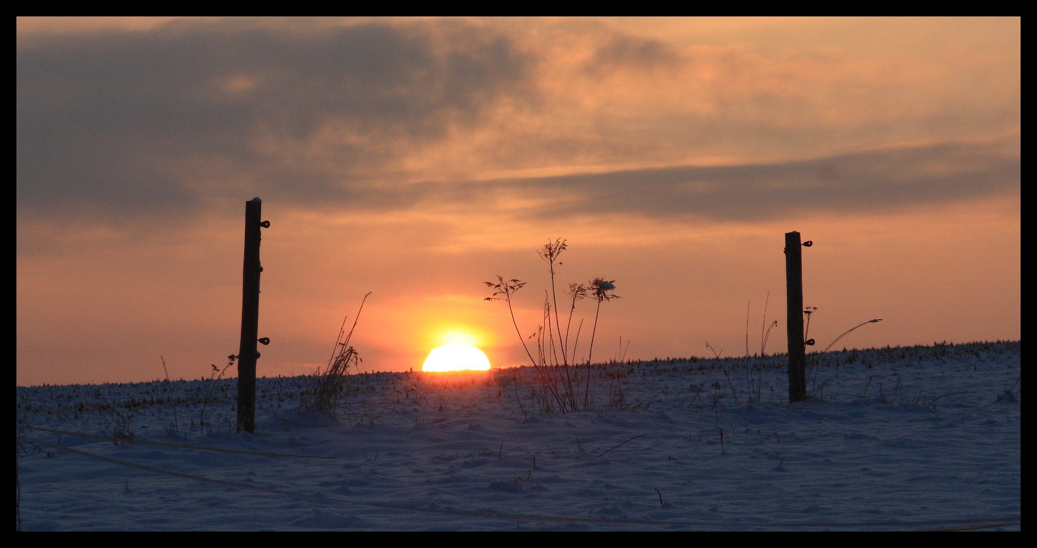 Wintergruß