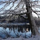 Wintergruß aus Frankfurt