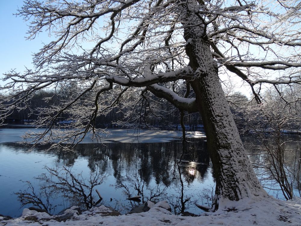 Wintergruß aus Frankfurt