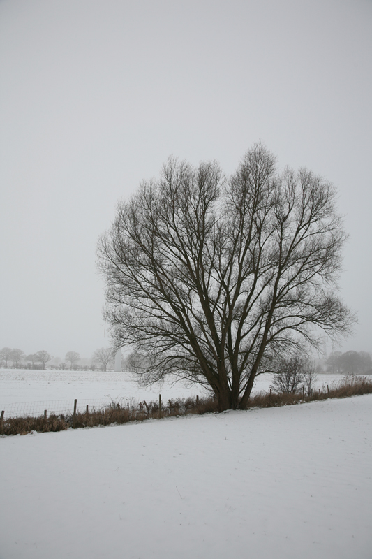 Wintergruß