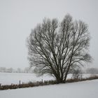 Wintergruß