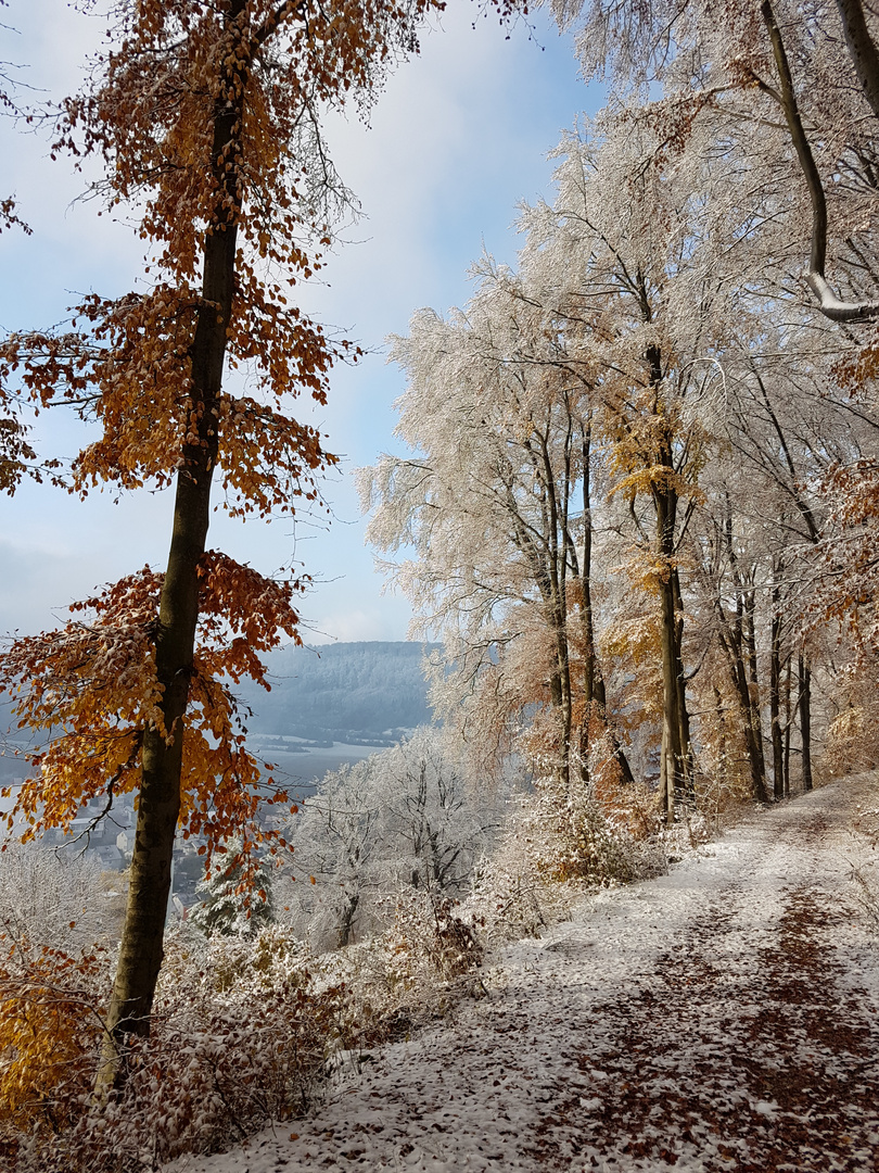 Wintergruß II