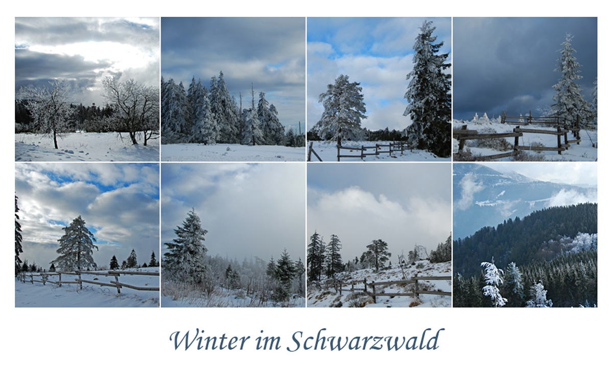 Wintergruß zum Wochenende