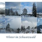 Wintergruß zum Wochenende