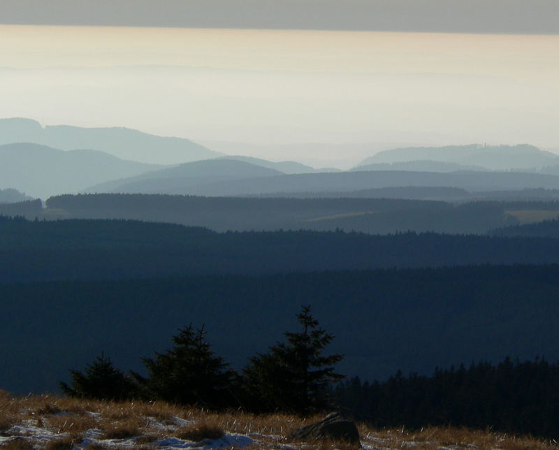 Winterharz