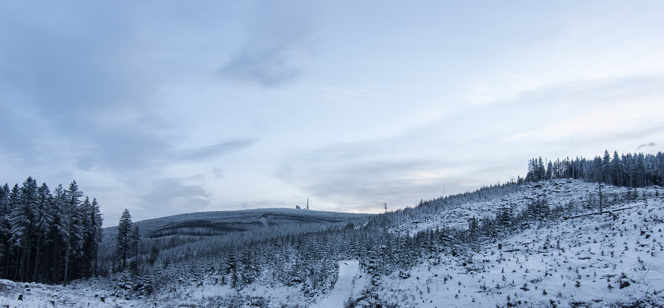 Winterharz