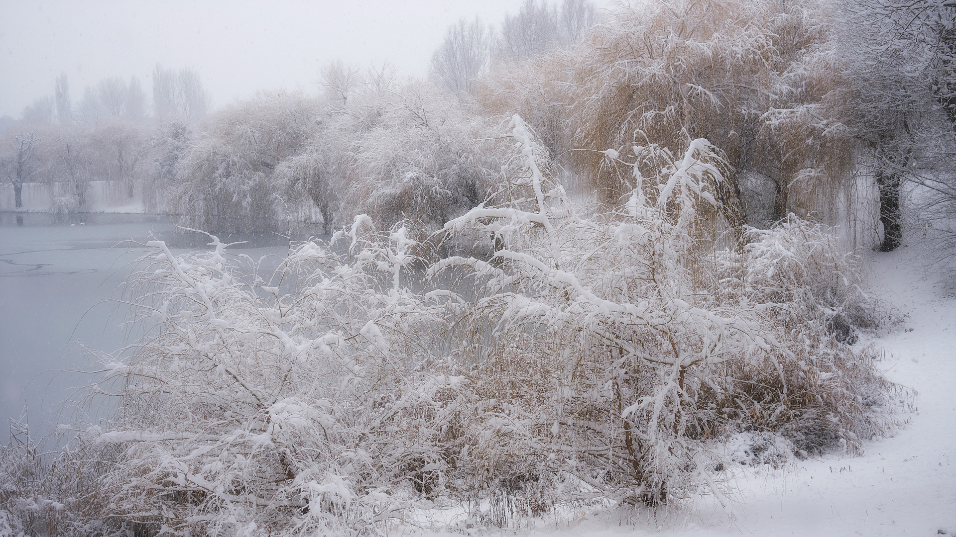 Winterhauch