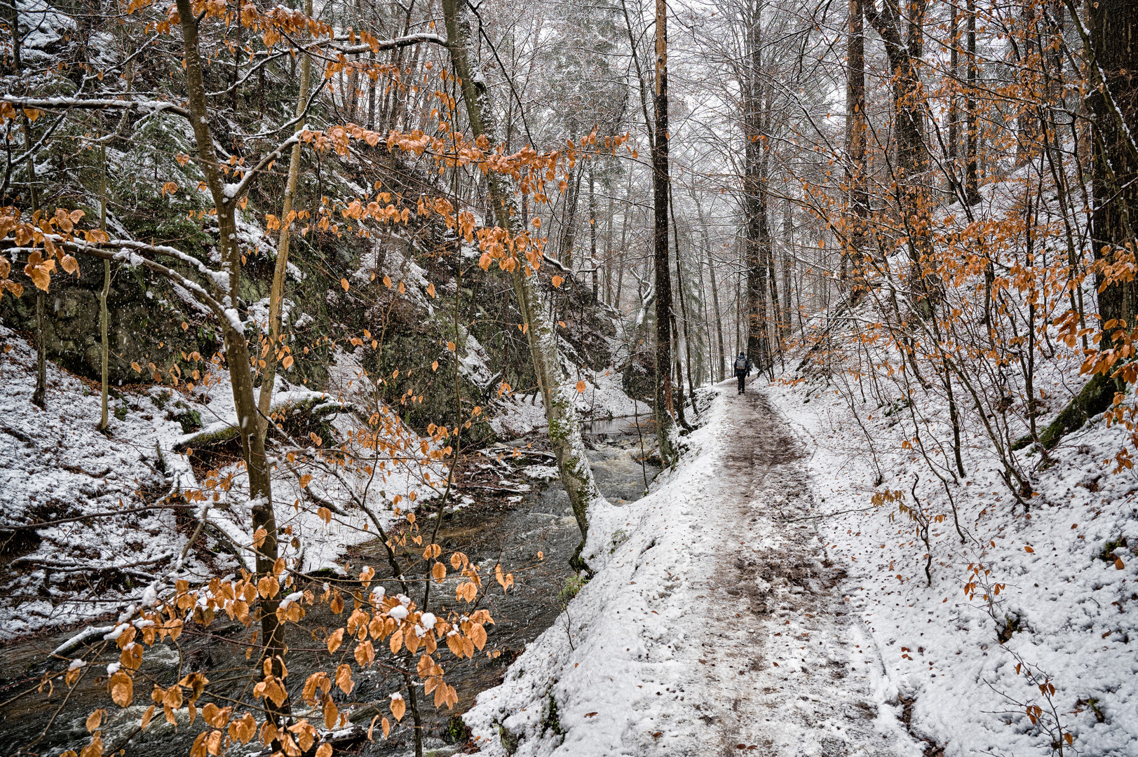 Winterhauch am Prießnitzdurchbruch