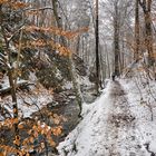 Winterhauch am Prießnitzdurchbruch