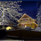 Winterhaus