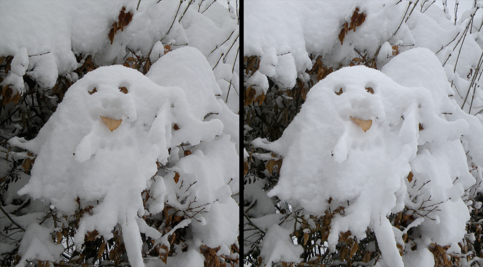 Winterhecke