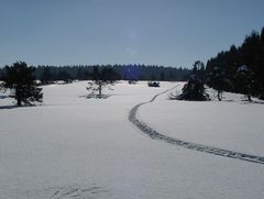 Winterheide