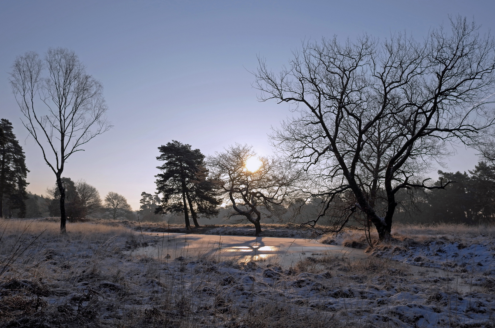 Winterheide