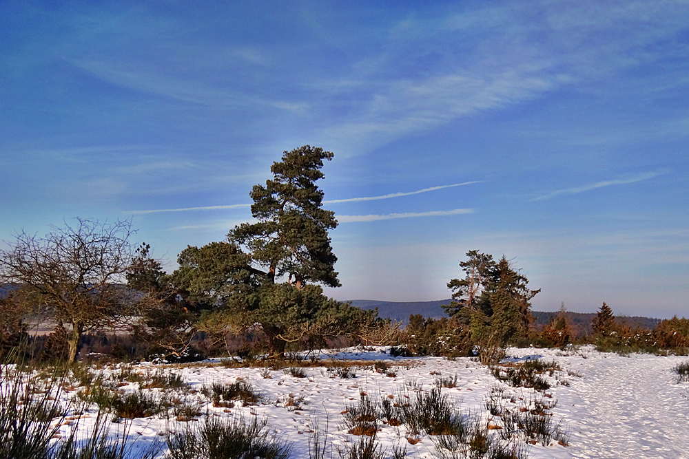 Winterheide 2