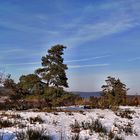 Winterheide 2