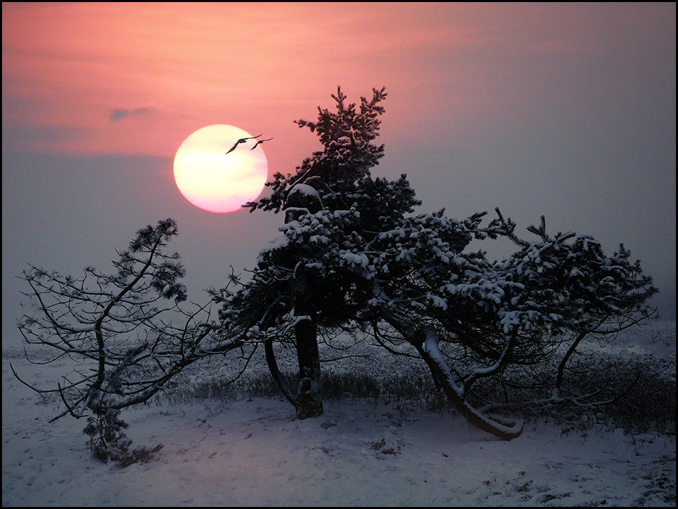 WinterHeide...