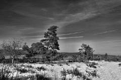 Winterheide