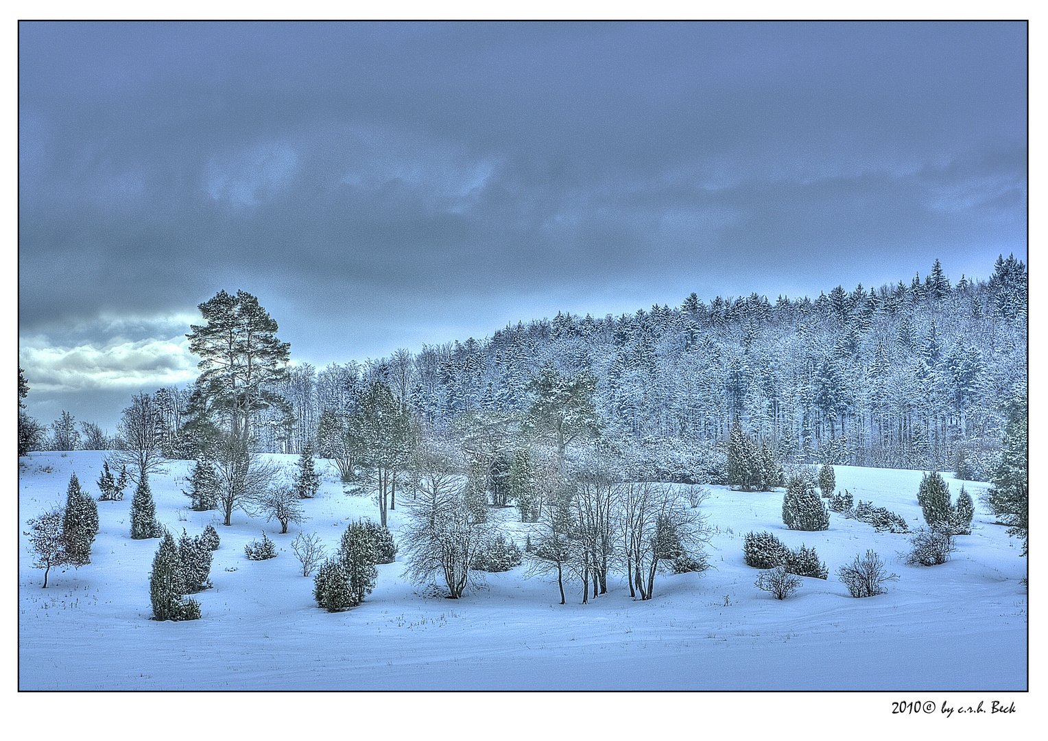 Winterheide