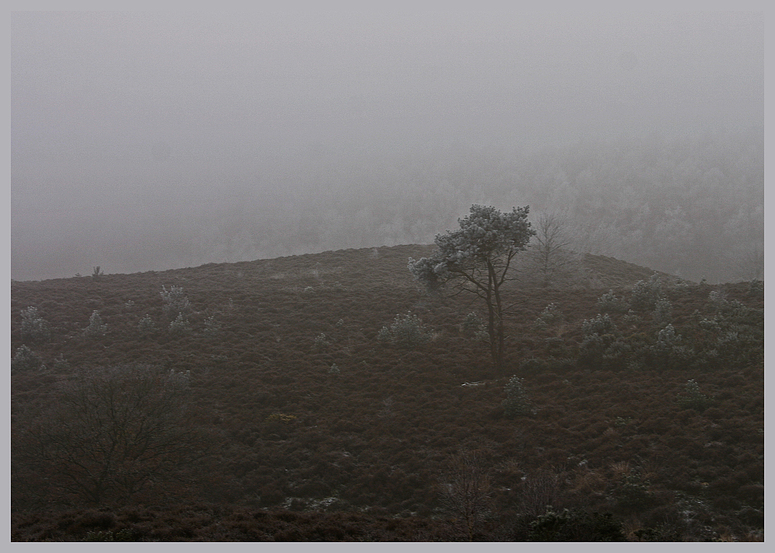 Winterheide