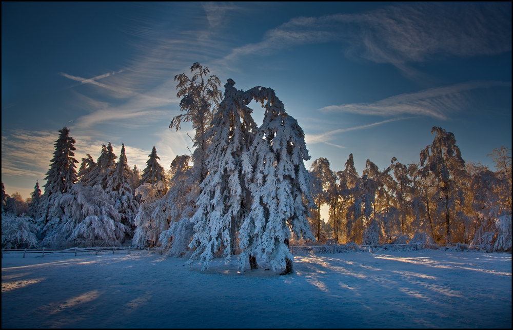 Winterherz