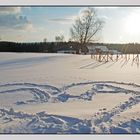 Winterherz am Wanderweg...