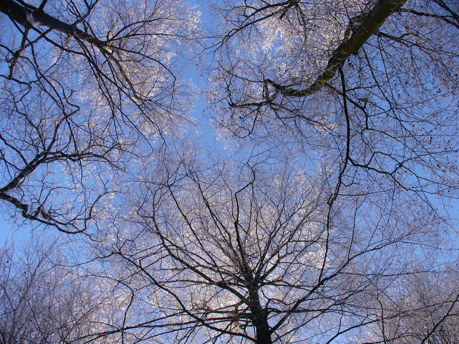 Winterhimmel