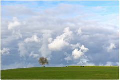 Winterhimmel