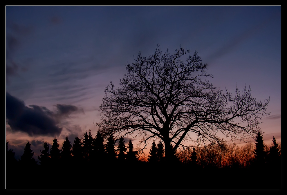 Winterhimmel