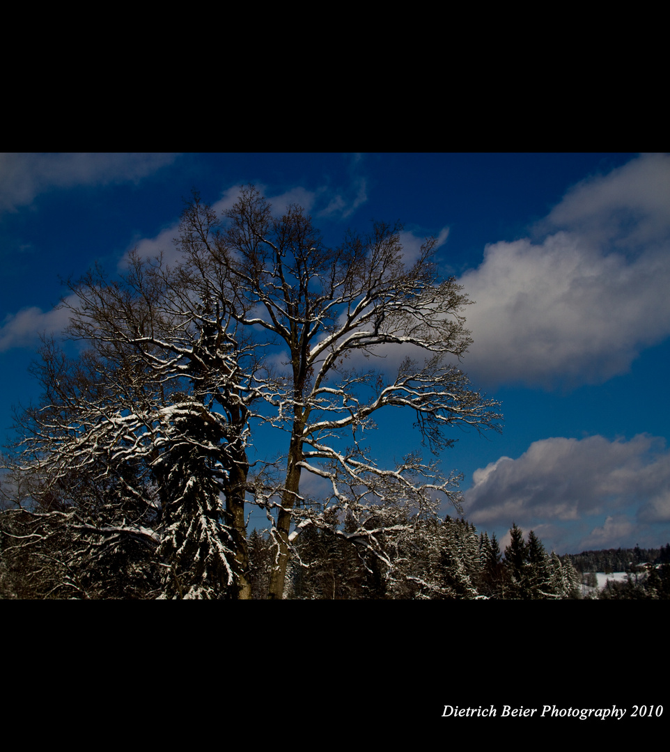 Winterhimmel Foto & Bild jahreszeiten, winter, natur Bilder auf