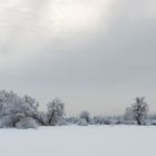 Winterhimmel