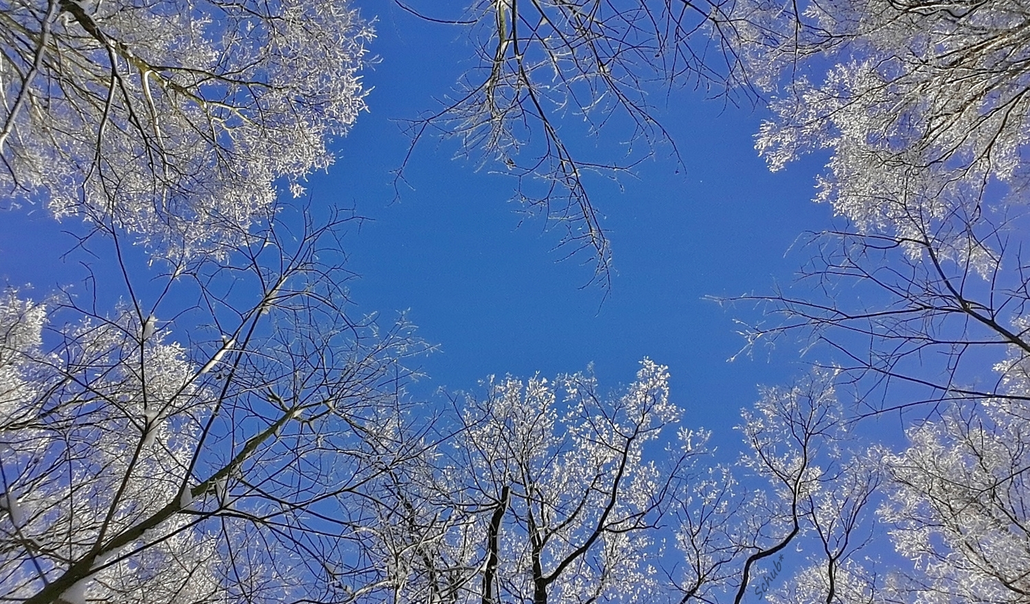 Winterhimmel