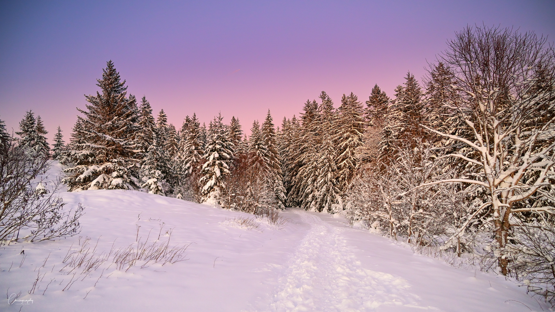 Winterhimmel