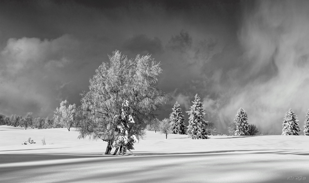 winterhimmel Foto & Bild jahreszeiten, winter, natur Bilder auf