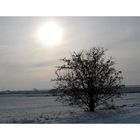 Winterhimmel - III