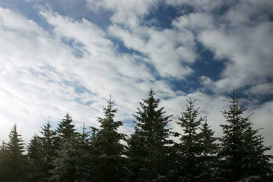 Winterhimmel im Black Forest