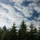 Winterhimmel im Black Forest