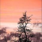 ** Winterhimmel über Friedrichssegen **