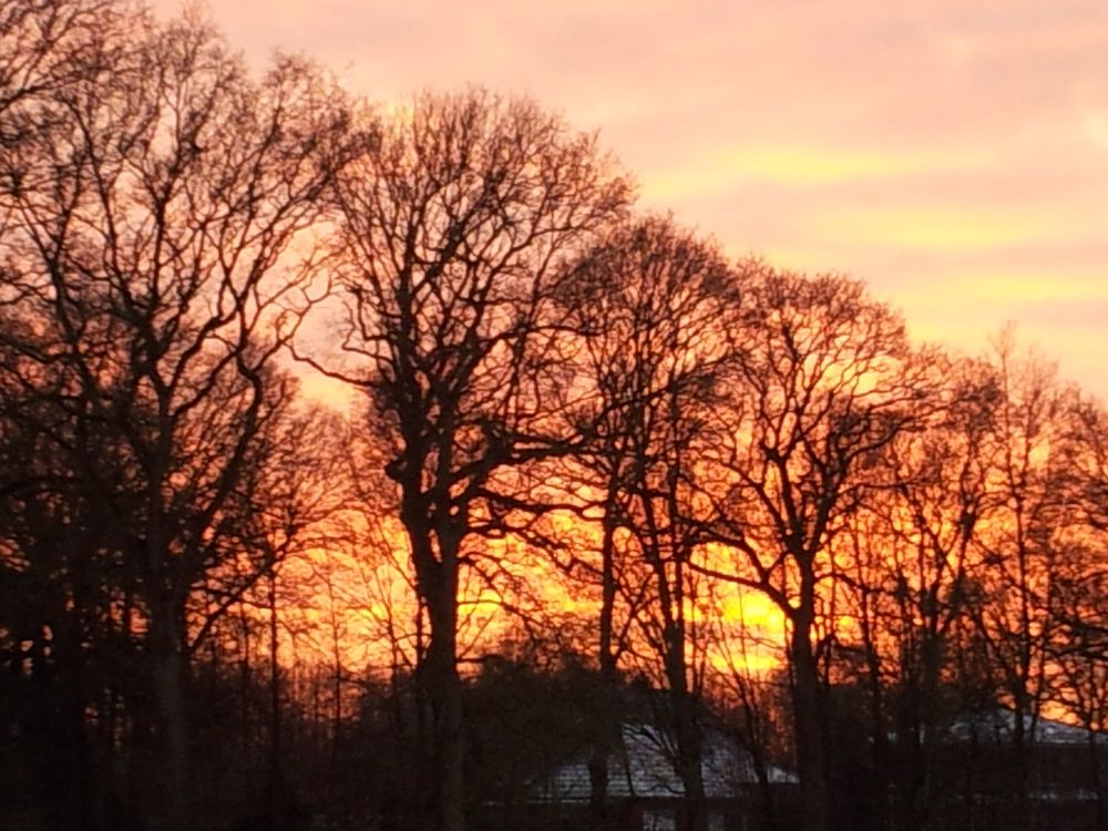 Winterhimmel über Ostrhauderfehn