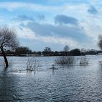 Winterhochwasser 2