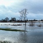 Winterhochwasser 3