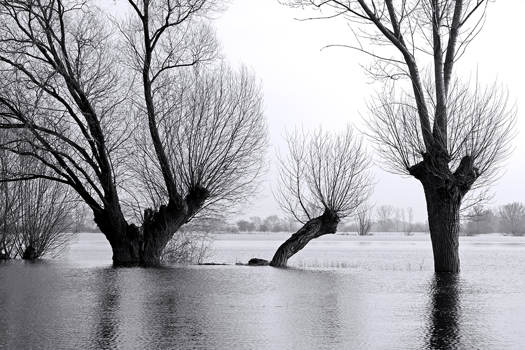 Winterhochwasser