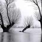 Winterhochwasser