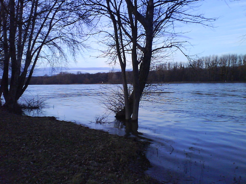 Winterhochwasser