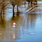 Winterhochwasser am Rhein, 02, 2021.02.13